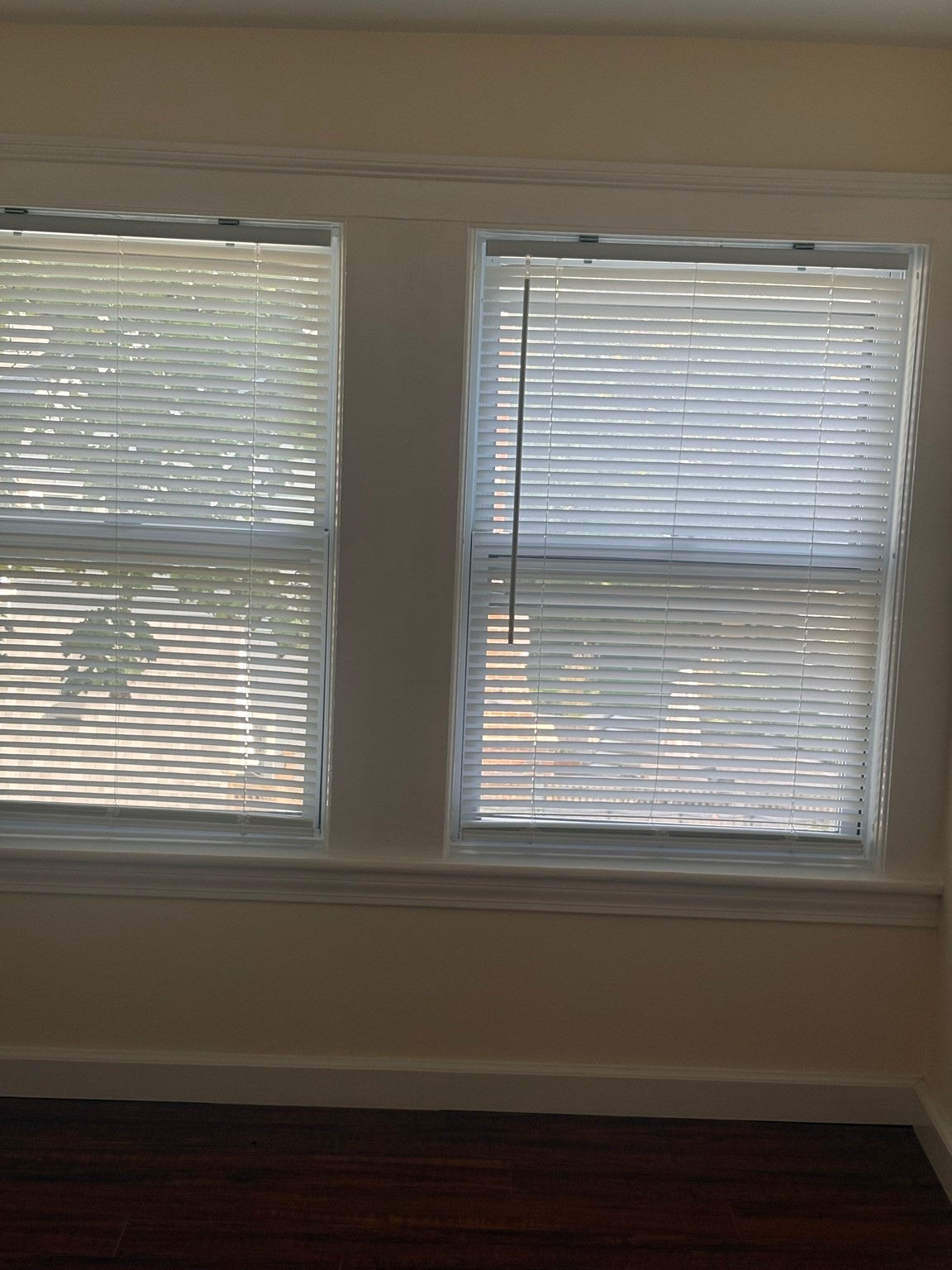 144 Walworth ST #3, Boston, MA Photo #25