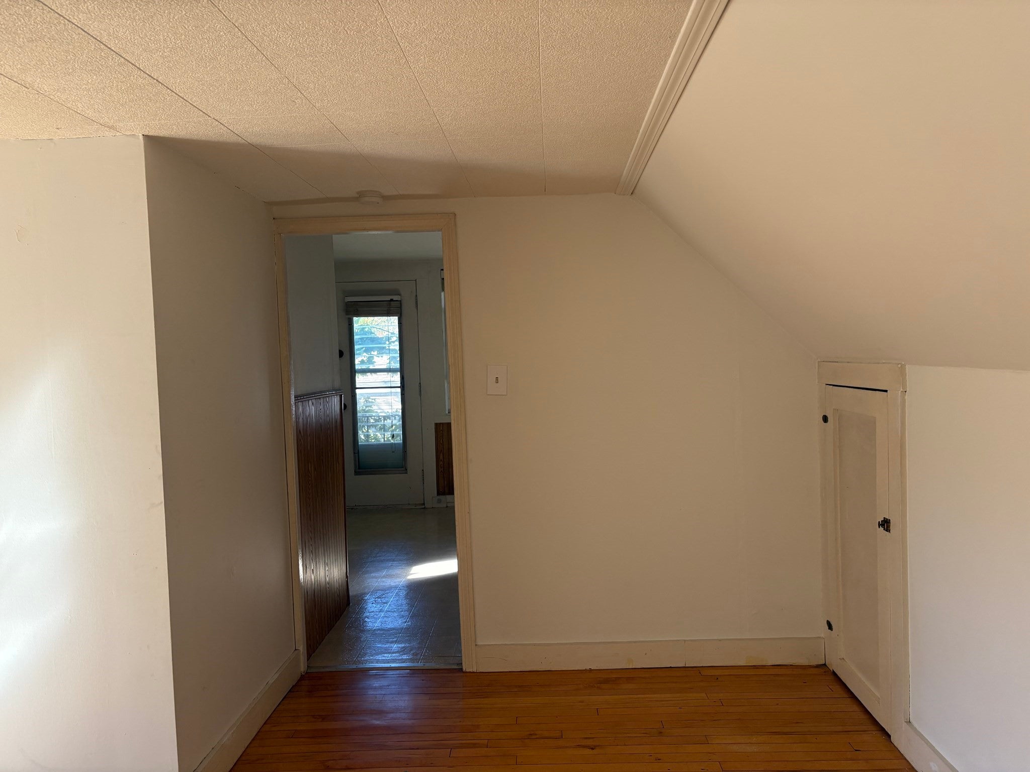 144 Walworth ST #3, Boston, MA Photo #19