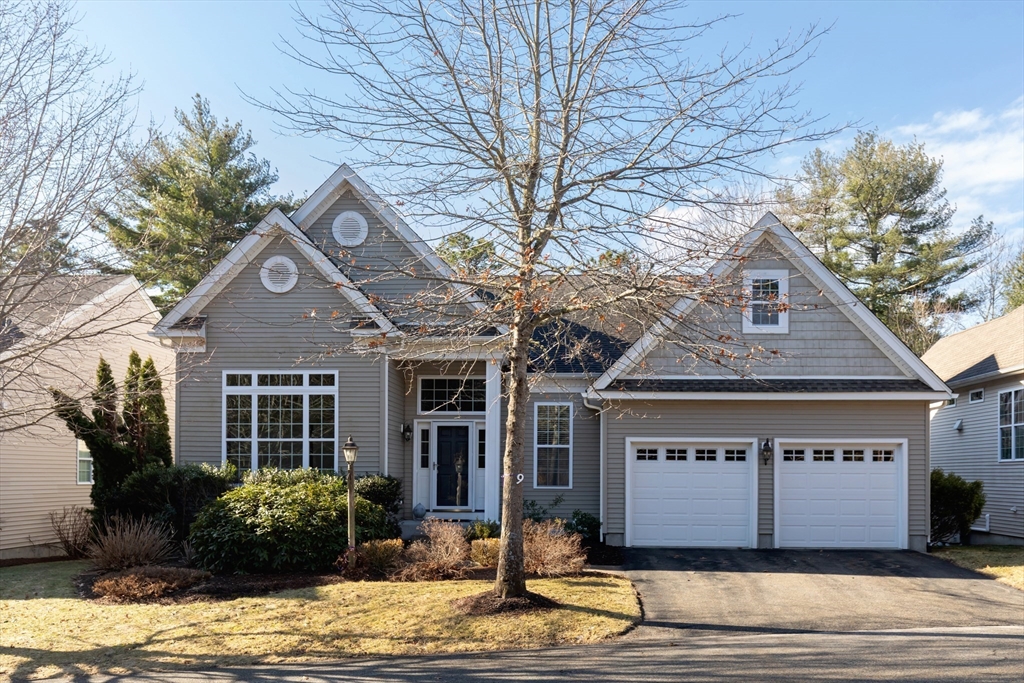 9 Saddleback