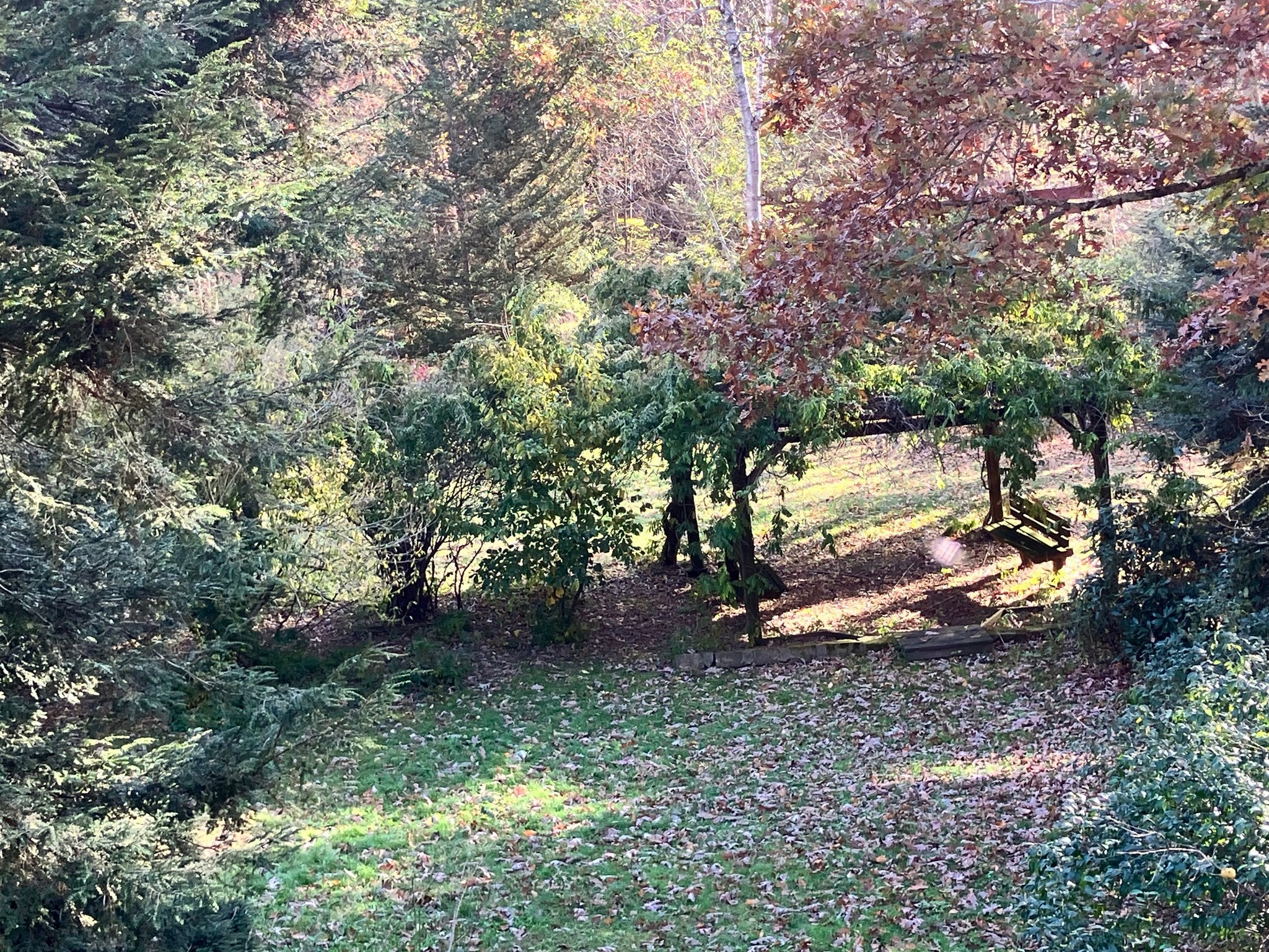 58 N. Wales Rd, Holland, MA Photo #17
