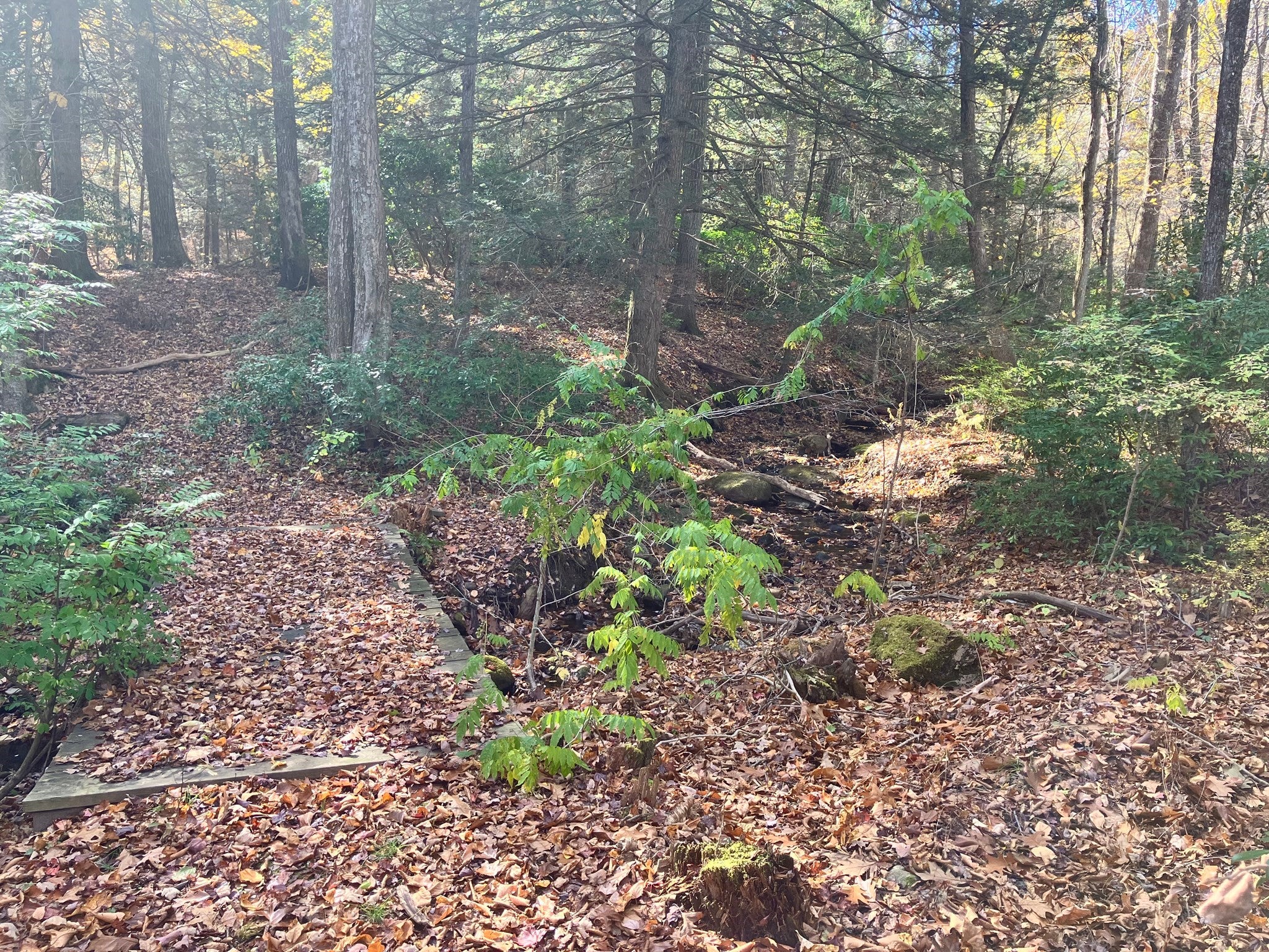 58 N. Wales Rd, Holland, MA Photo #24
