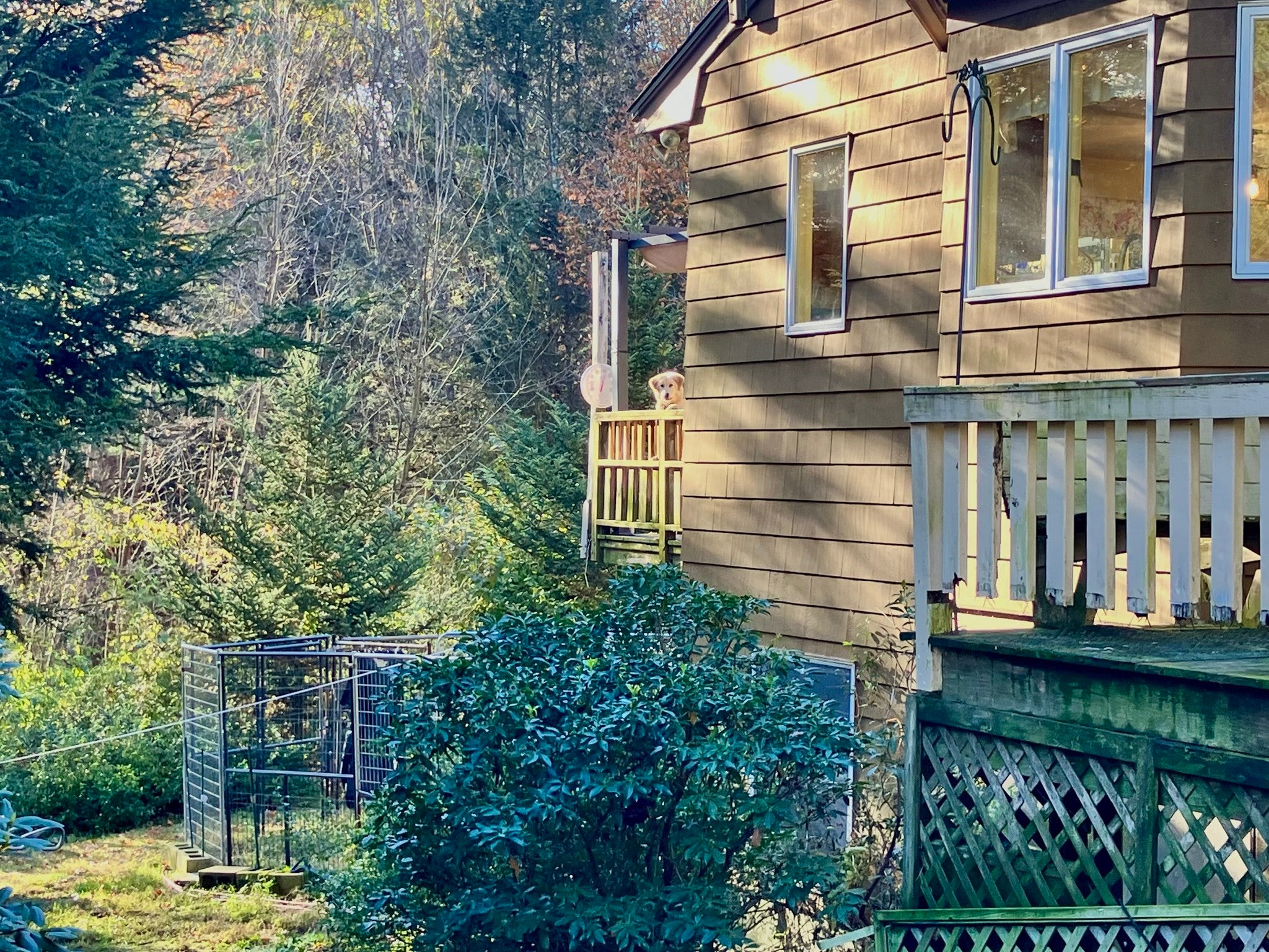 58 N. Wales Rd, Holland, MA Photo #18