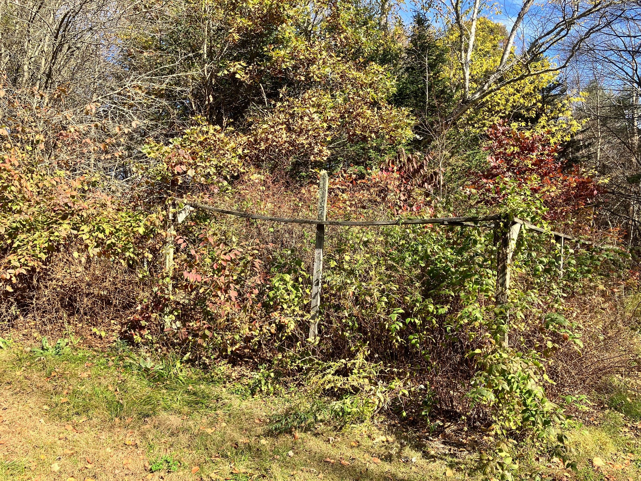 58 N. Wales Rd, Holland, MA Photo #30