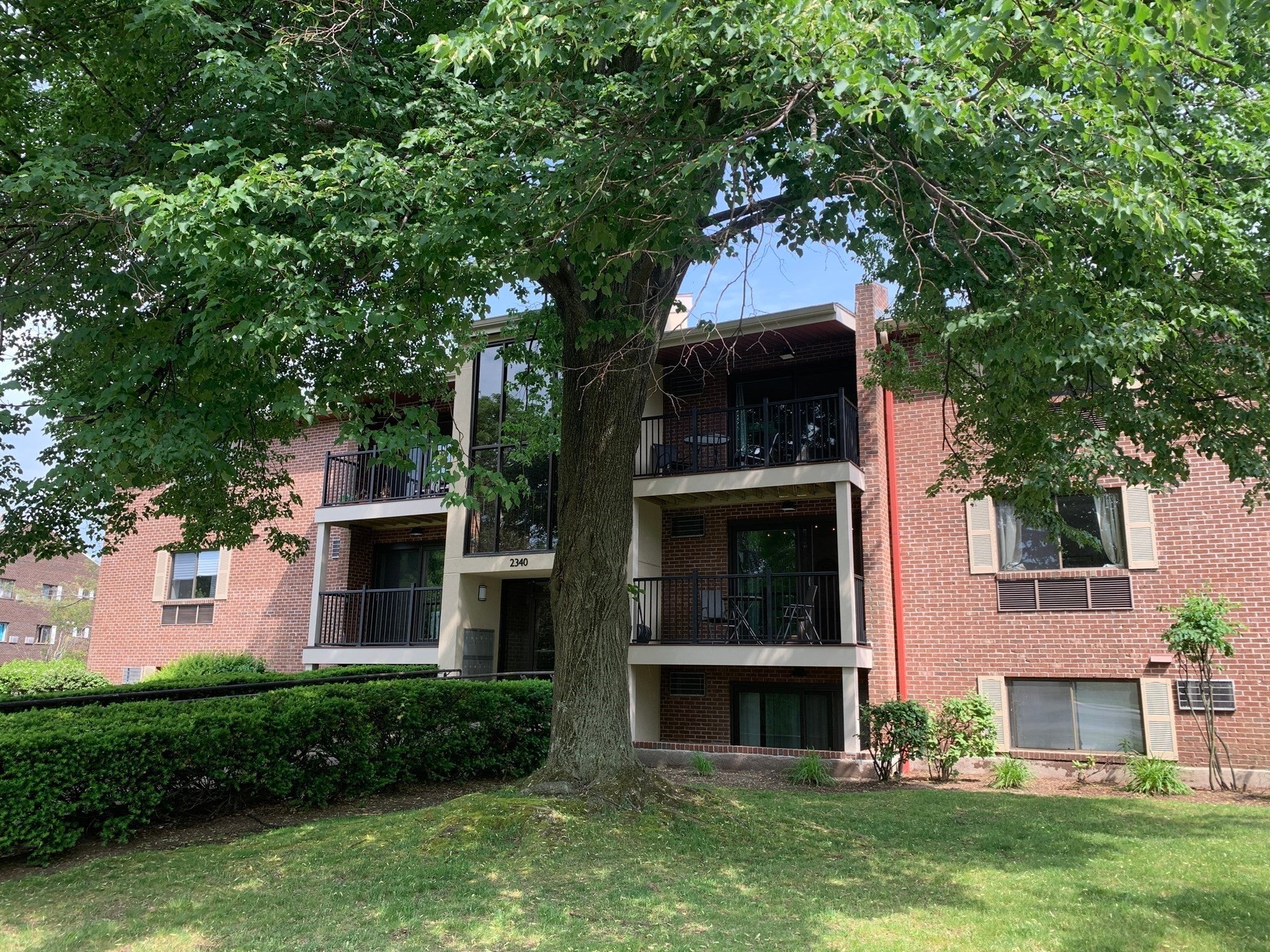 2340 Commonwealth Ave #2-4, Newton, MA, 2340 Commonwealth Ave #2-4, Newton, MA Photo #10