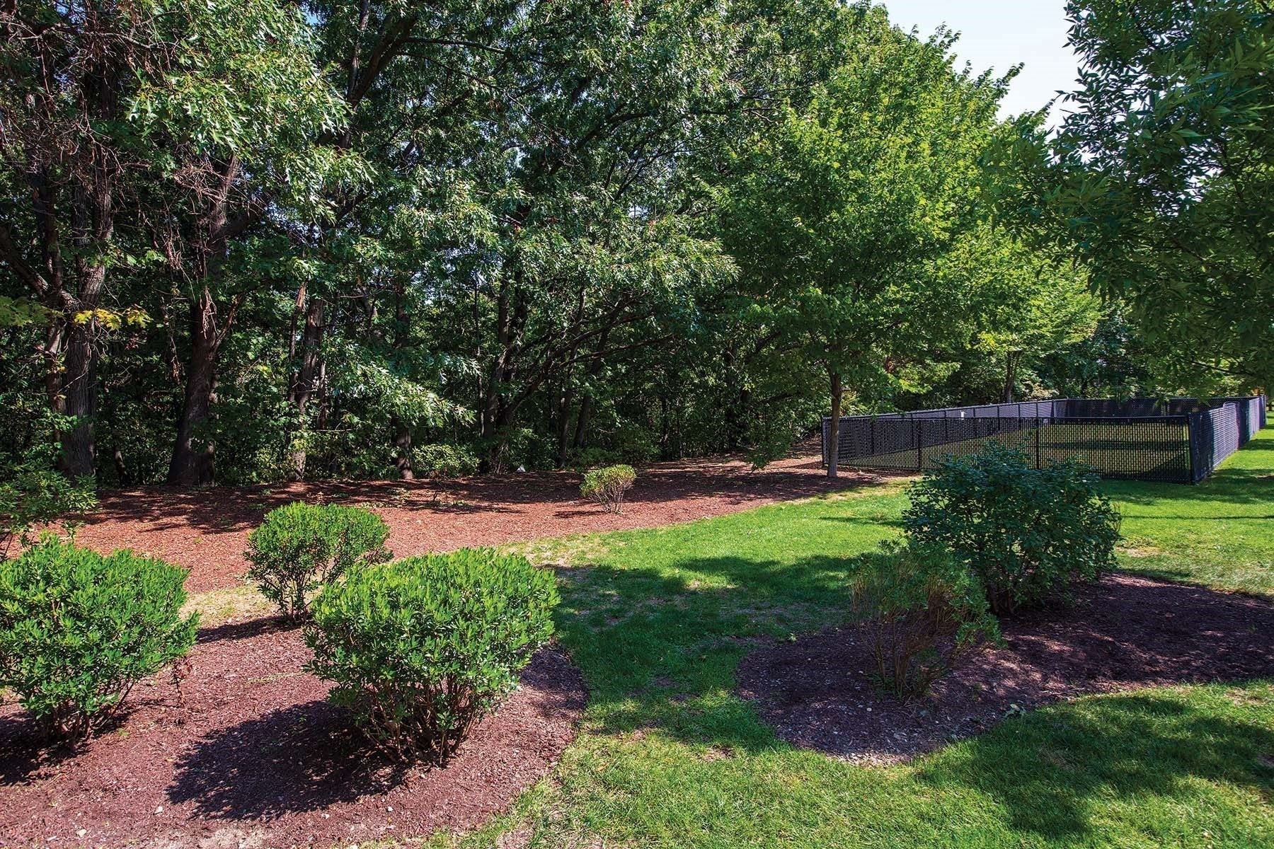 3 Repton Cir #3114, Watertown, MA, 3 Repton Cir #3114, Watertown, MA Photo #9
