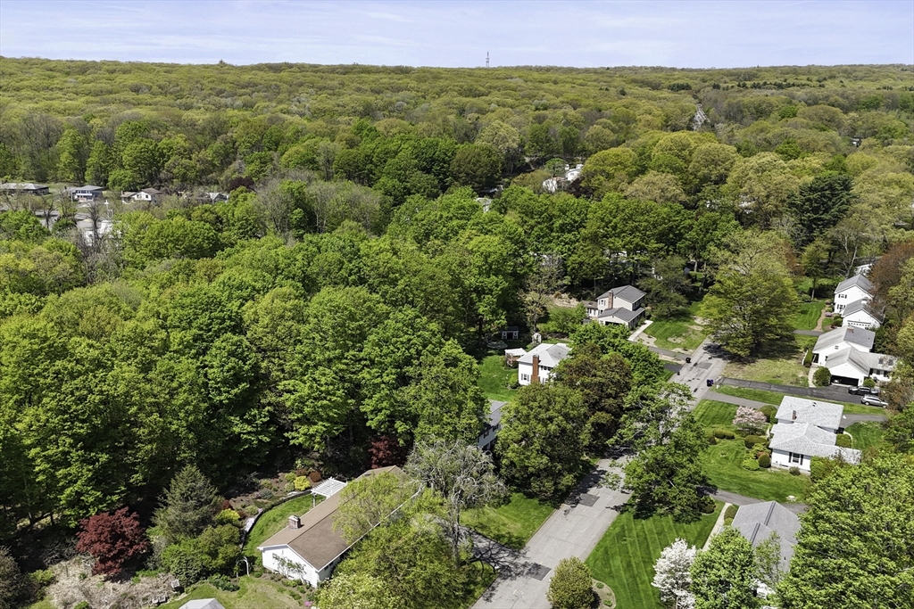 55 Longfellow Road, Holyoke, MA, 55 Longfellow Road, Holyoke, MA Photo #4