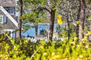 148 Seapine Rd, Chatham, MA Photo #5