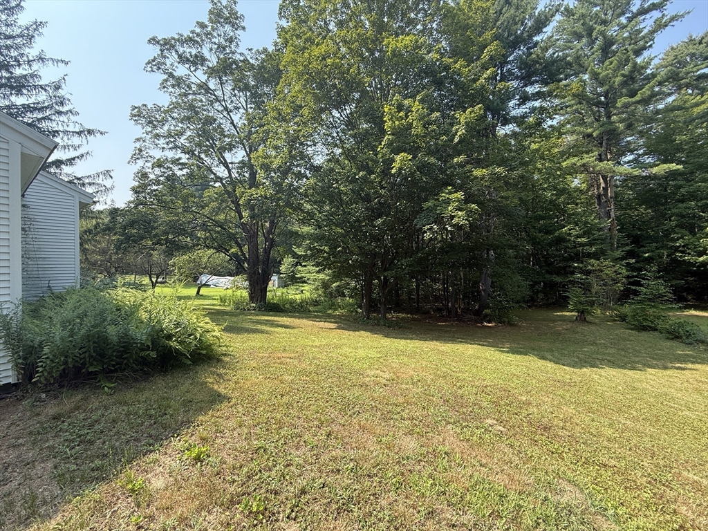 207 Leverett Rd