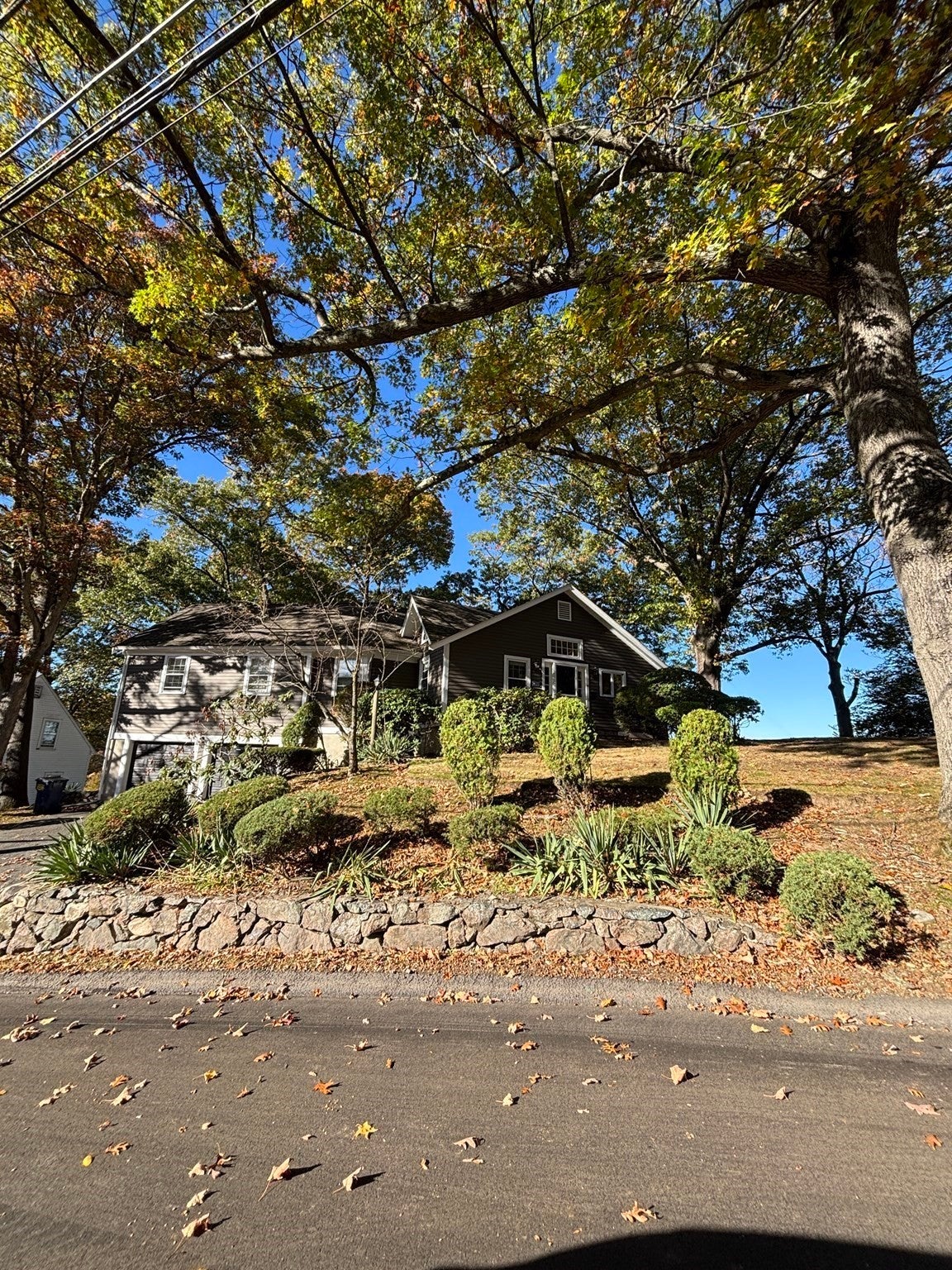 14 Bow St, Wellesley, MA Photo #27