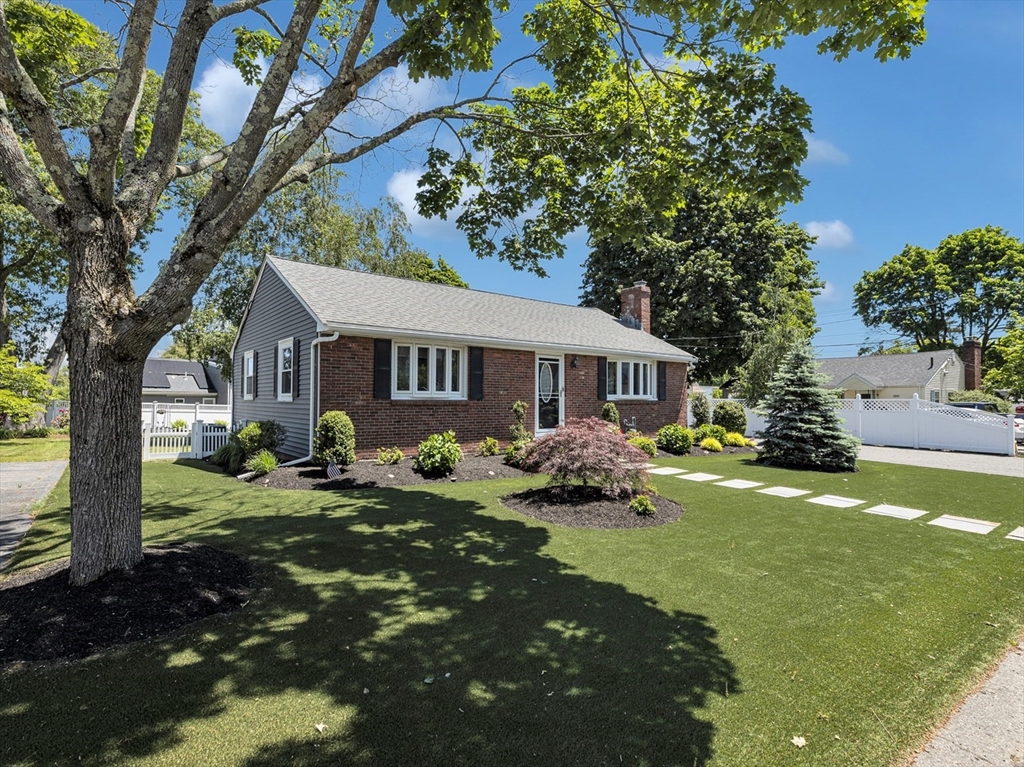 13 Willard St