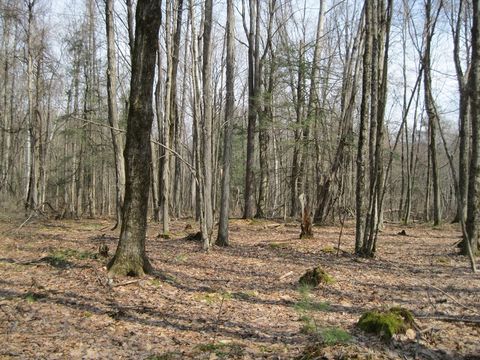 Photo of 0 Mohawk Lake Rd, Stockbridge, MA 01262 (MLS # 73499741)
