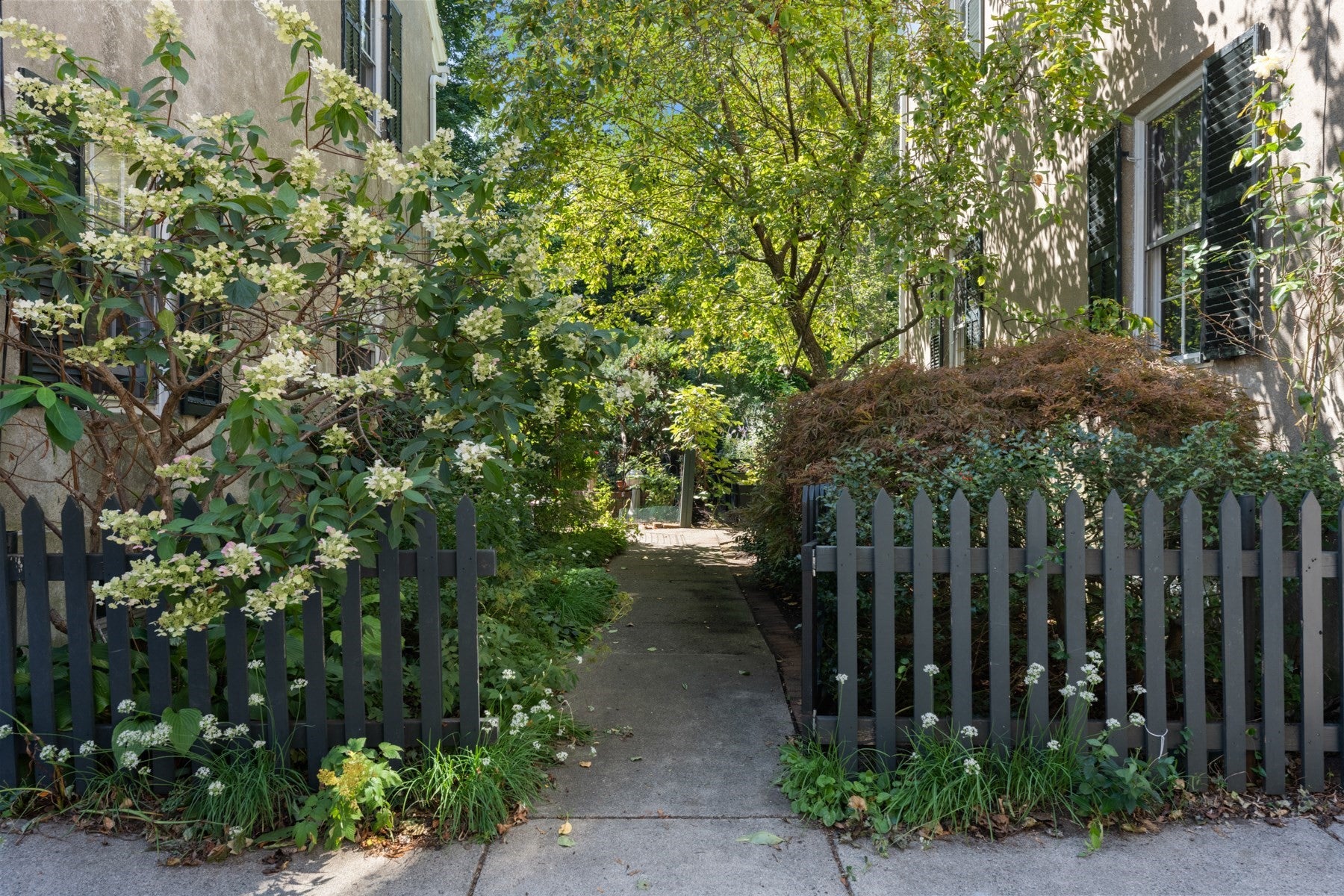 8 Orne Sq #8, Salem, MA Photo #31