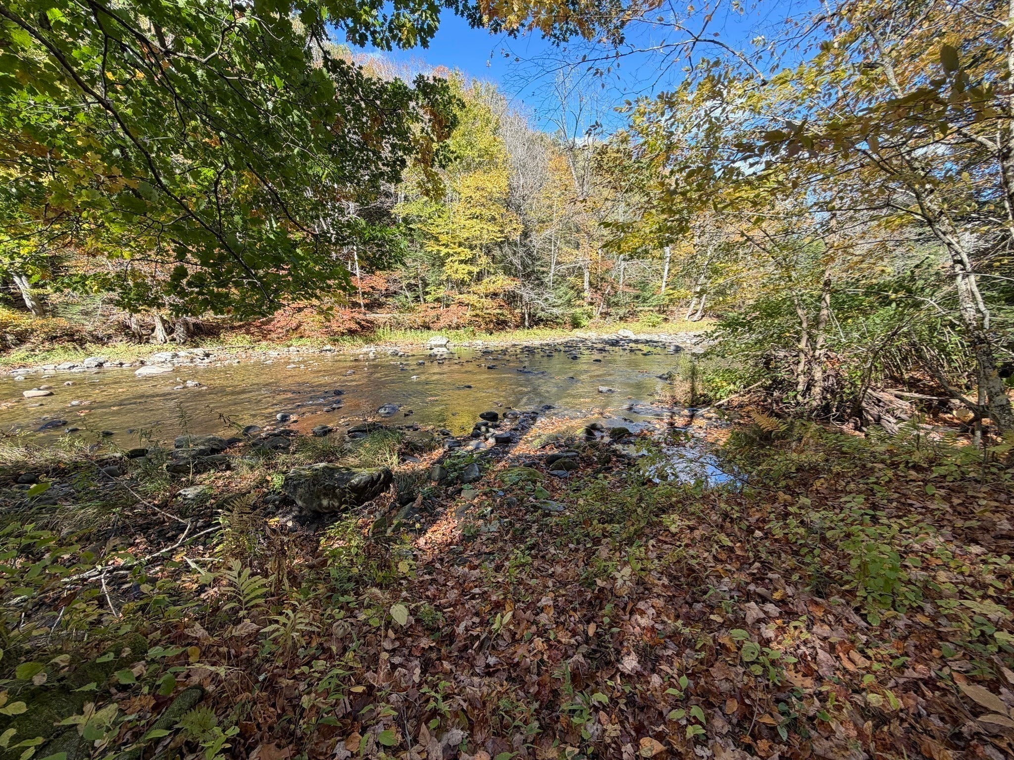 232 River Rd, Leyden, MA, 232 River Rd, Leyden, MA Photo #12