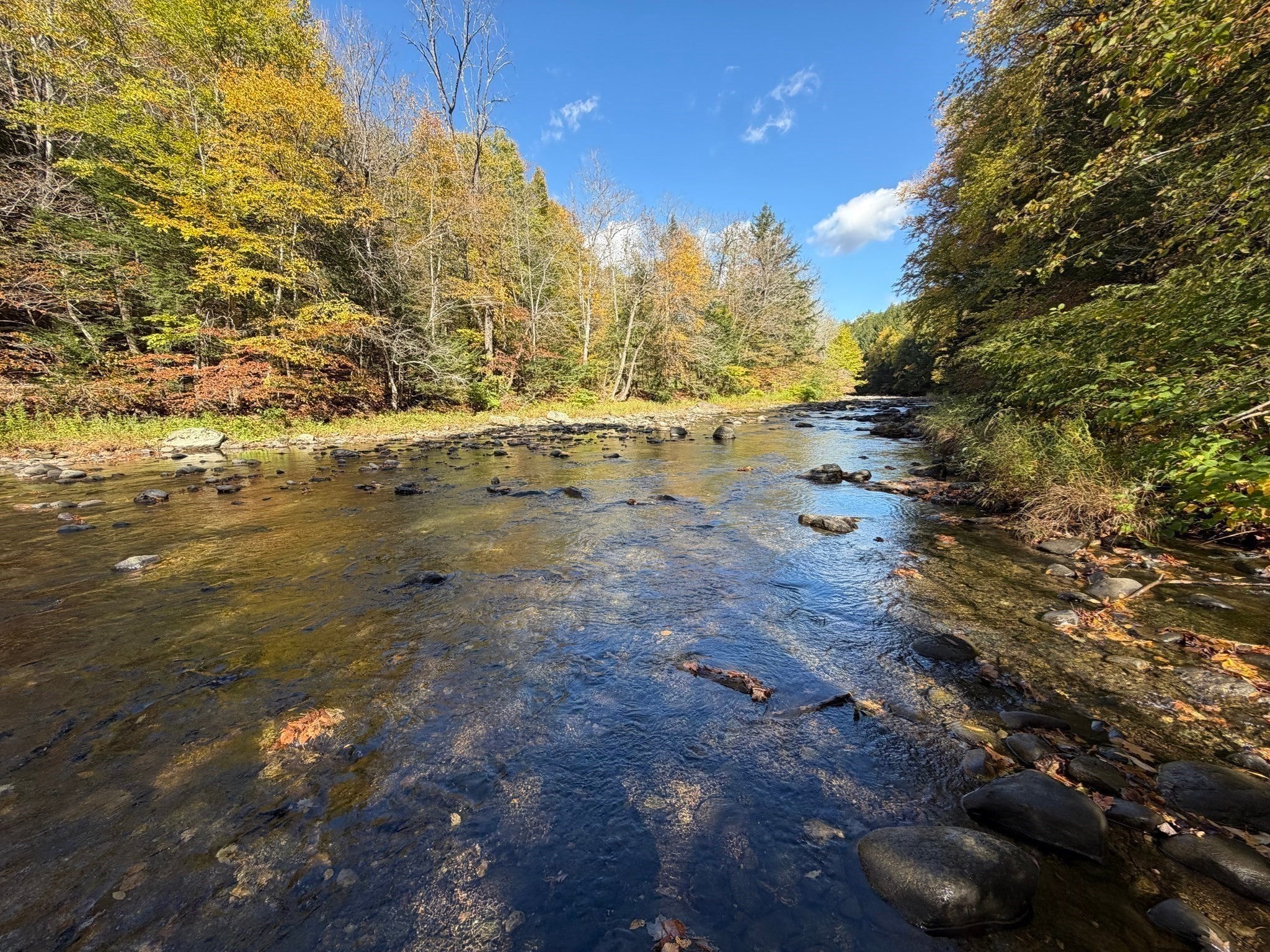 232 River Rd, Leyden, MA, 232 River Rd, Leyden, MA Photo #14