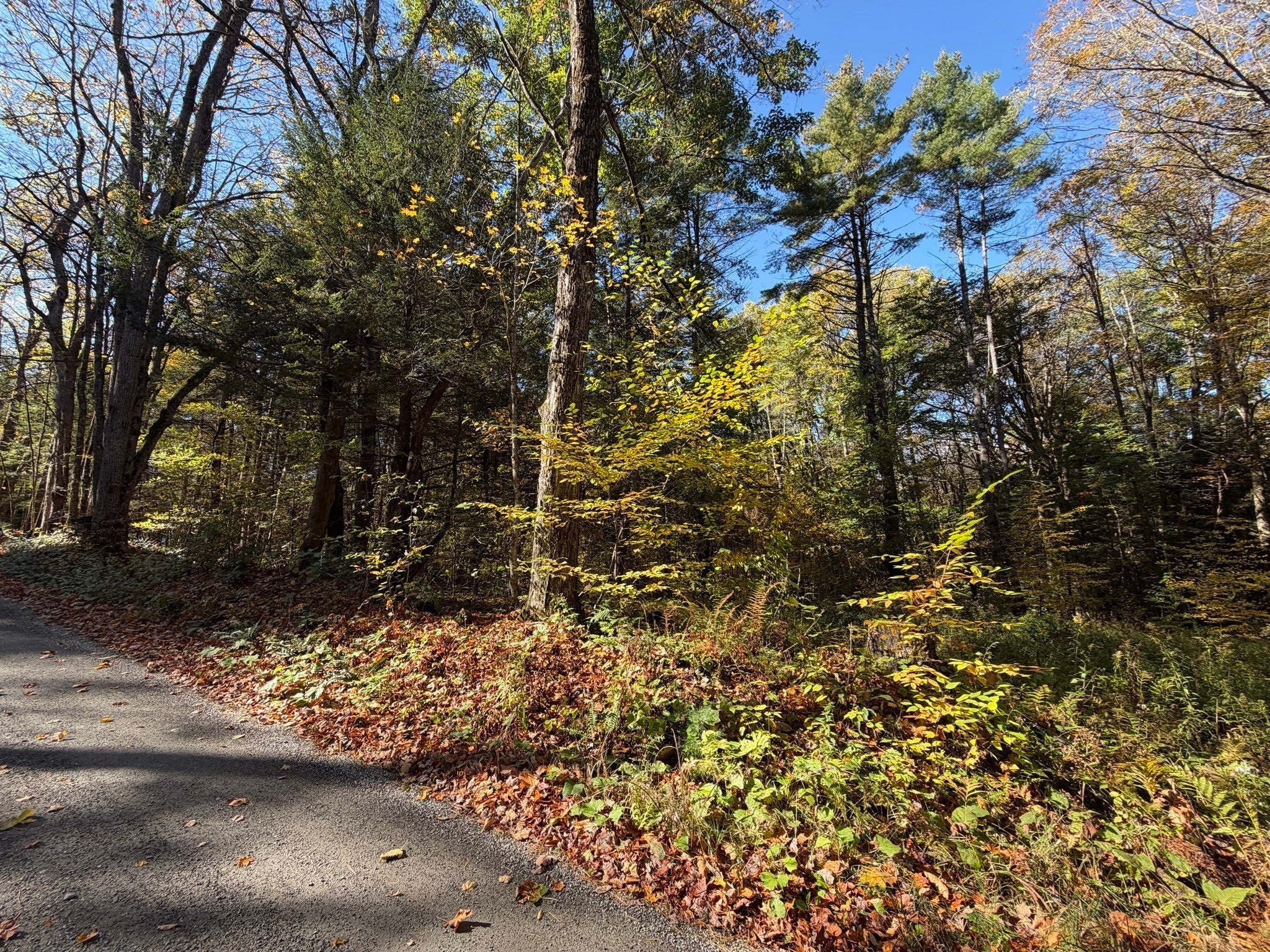 232 River Rd, Leyden, MA, 232 River Rd, Leyden, MA Photo #31