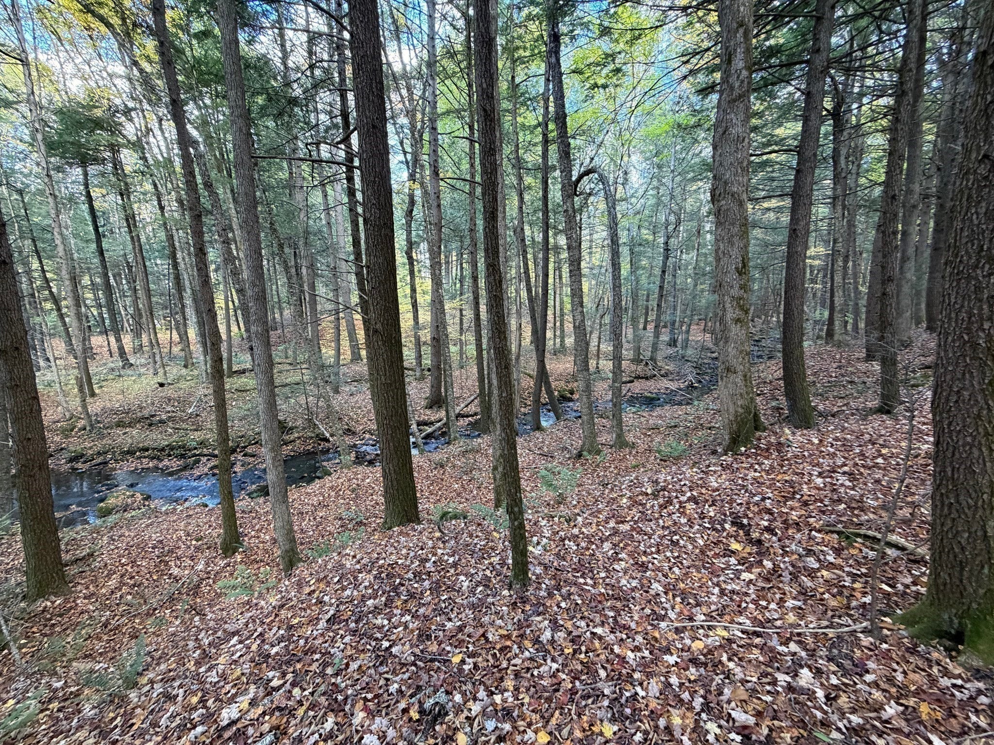 232 River Rd, Leyden, MA, 232 River Rd, Leyden, MA Photo #10
