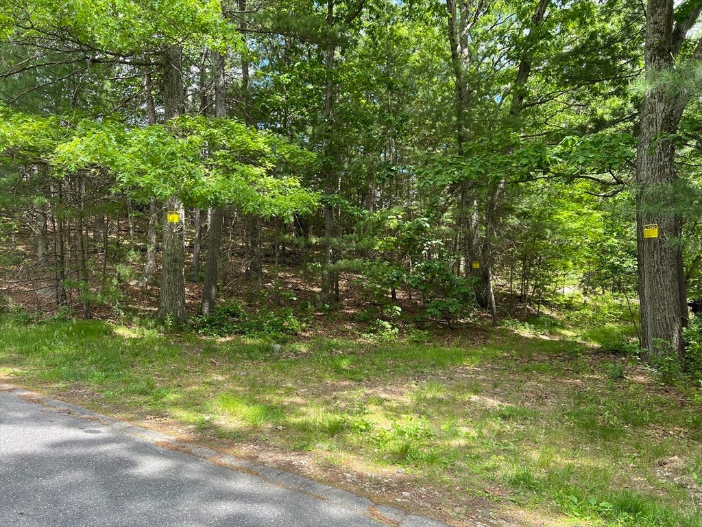 35 Kato Drive