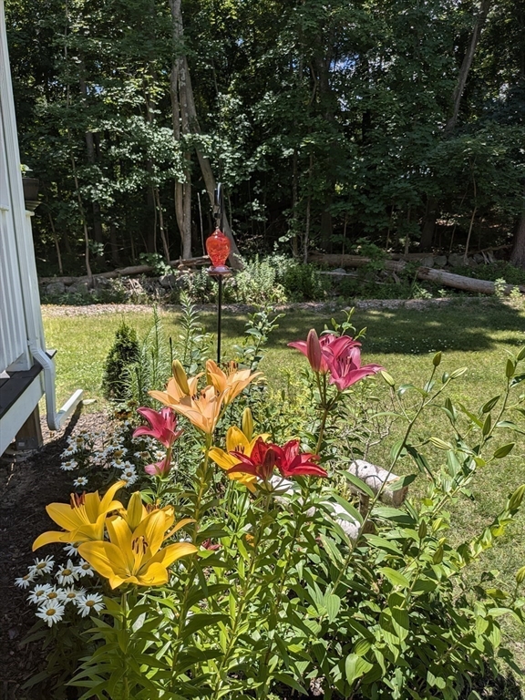 20 Farnum St