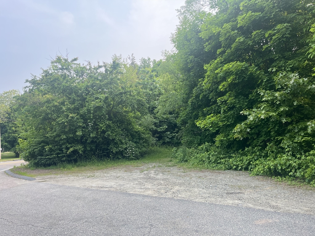 Lot 201 County St