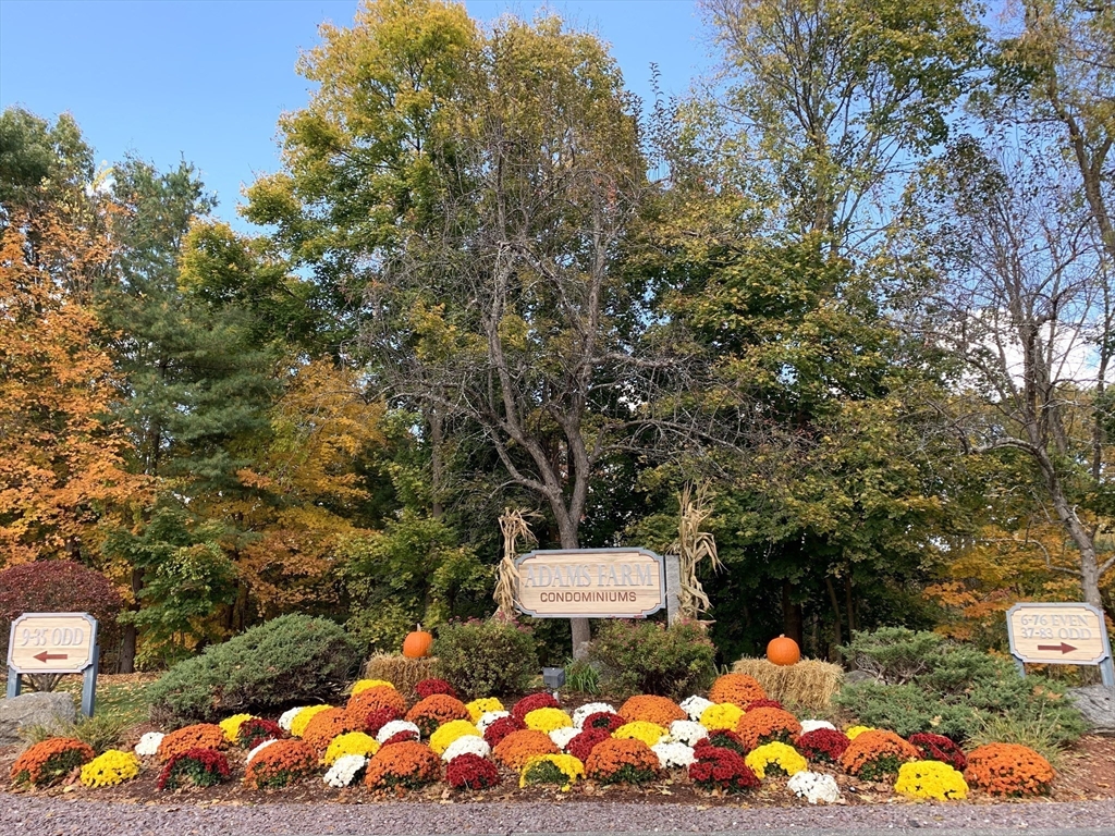 45 Kennedy Dr #45, Chelmsford, MA Photo #2