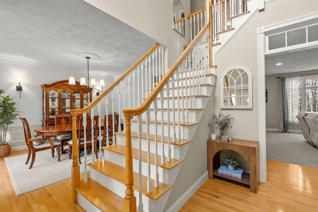 12 Alder Way
