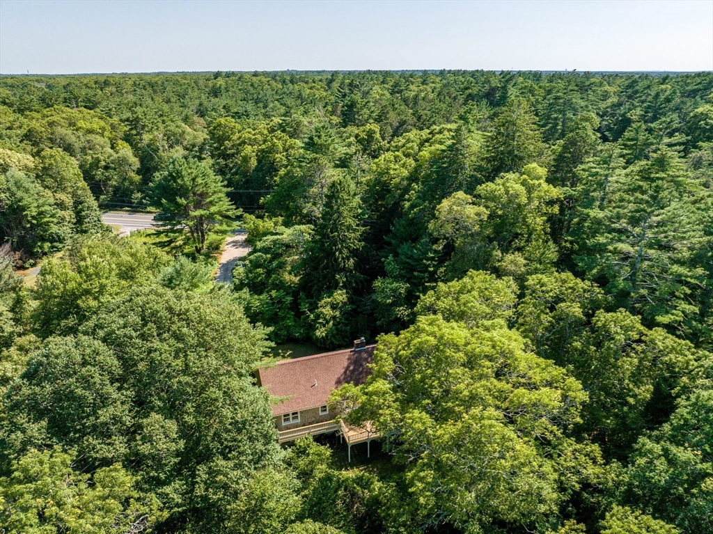 100 Farmersville Road