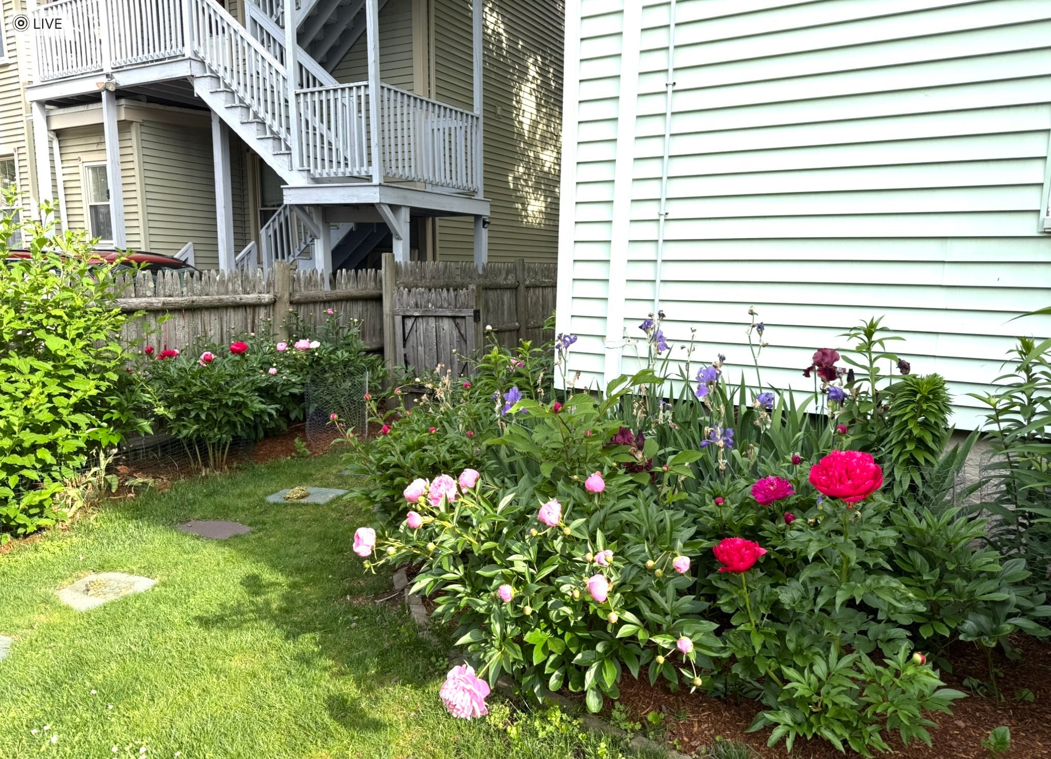 9 Peabody St #9, Newton, MA, 9 Peabody St #9, Newton, MA Photo #19