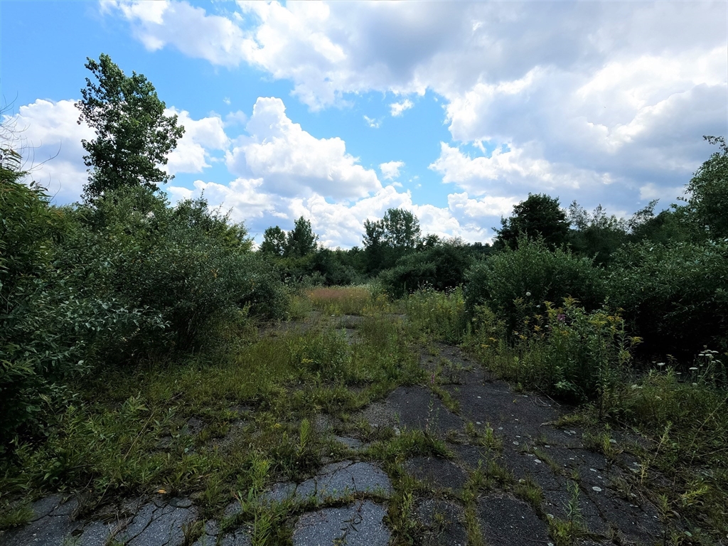 12 Lots For Sale On Mill St