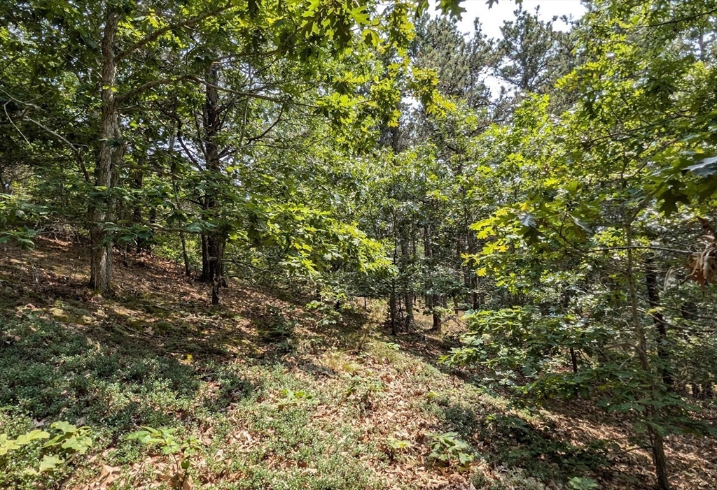 4 Sandpiper Road