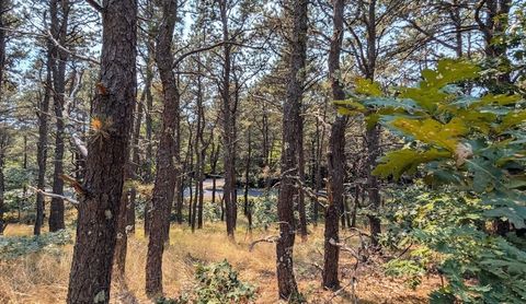 Photo of 4 Sandpiper Road, Truro, MA 02666 (MLS # 73389159)