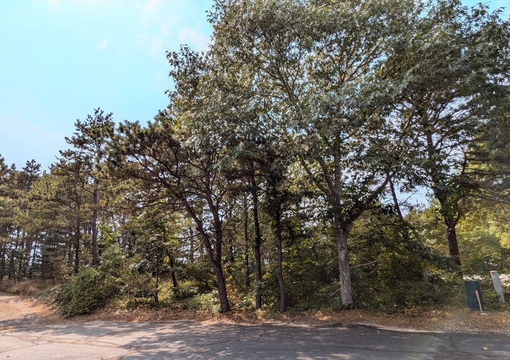 4 Sandpiper Road