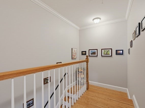 93 Rosewood Dr #93, Stoughton, MA, 93 Rosewood Dr #93, Stoughton, MA Photo #15