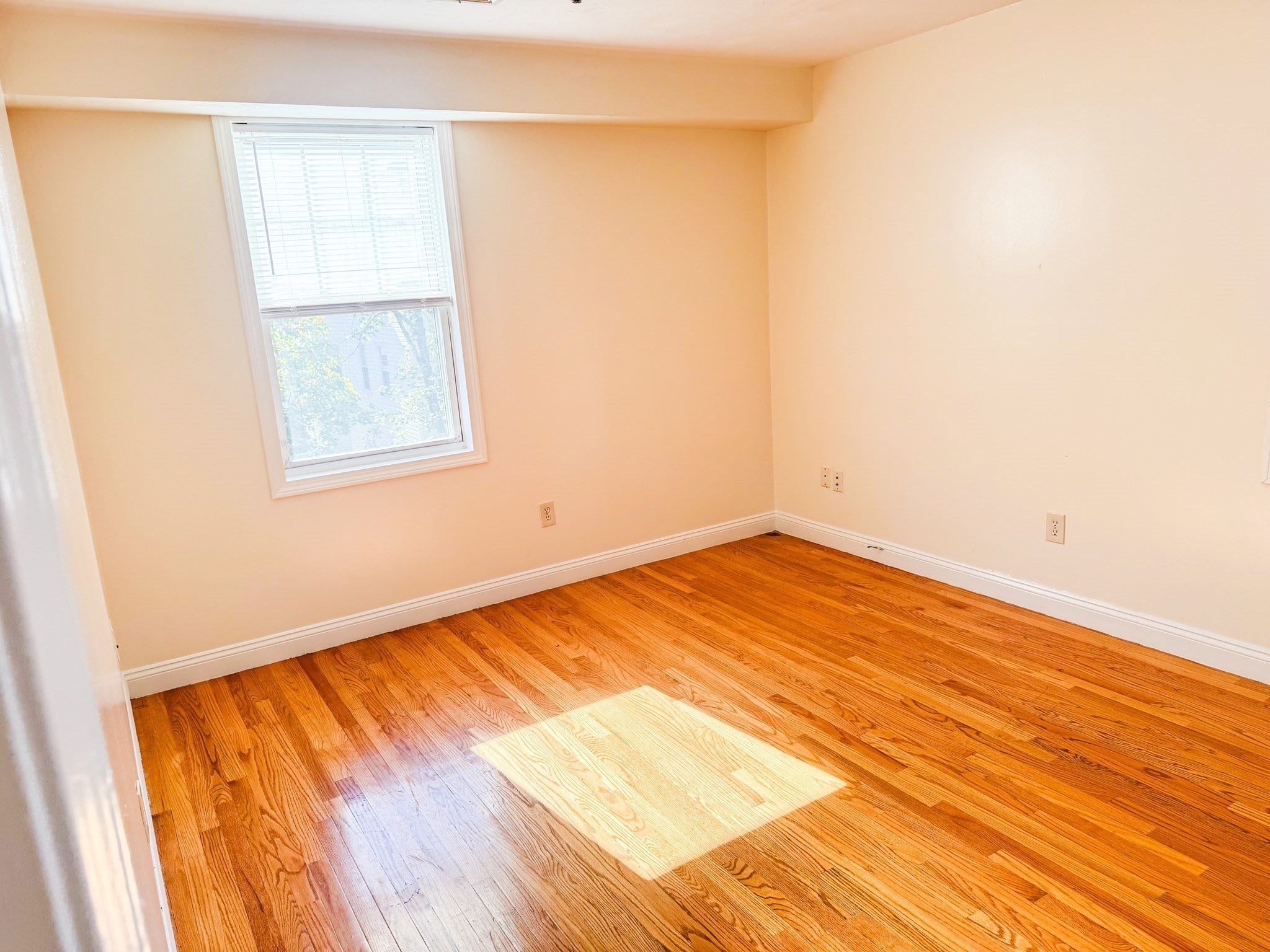 339 Adams St #6, Boston, MA, 339 Adams St #6, Boston, MA Photo #15