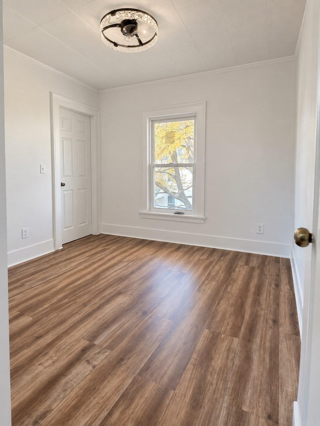 34 Florence St, Springfield, MA, 34 Florence St, Springfield, MA Photo #18