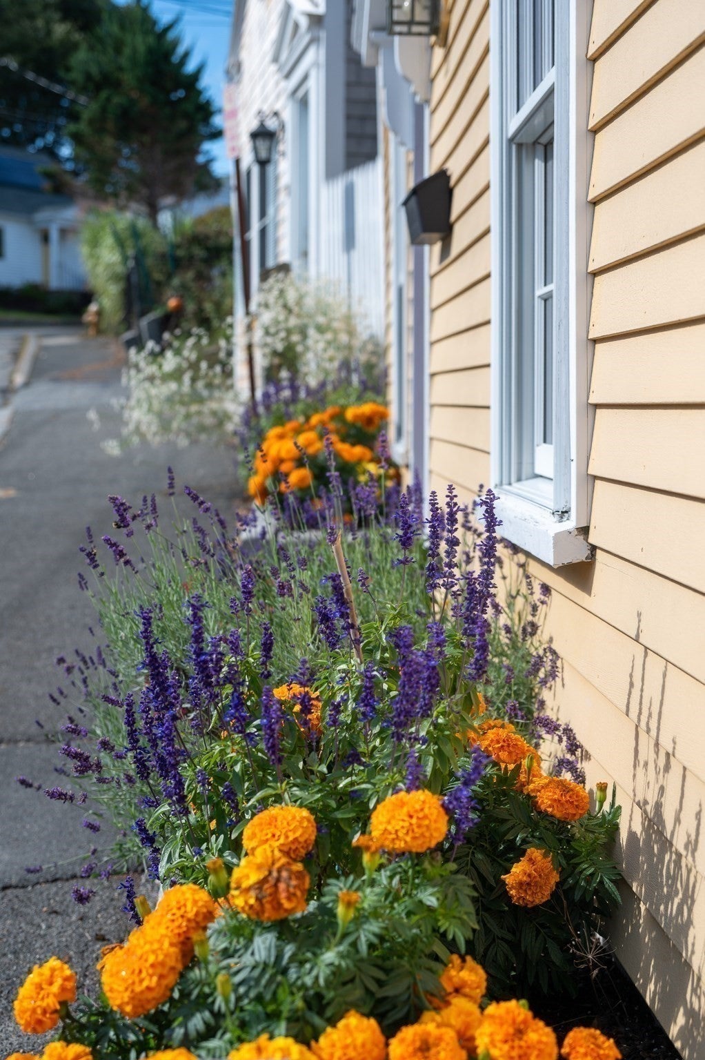 22 High St, Rockport, MA, 22 High St, Rockport, MA Photo #34