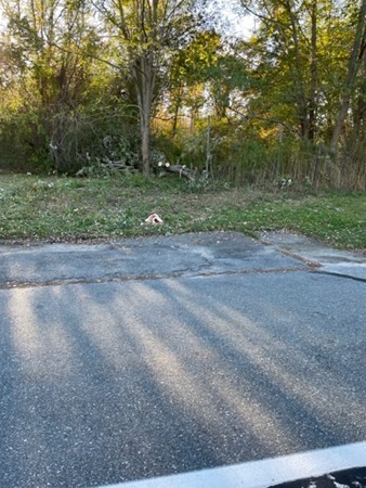 0 Alden Rd