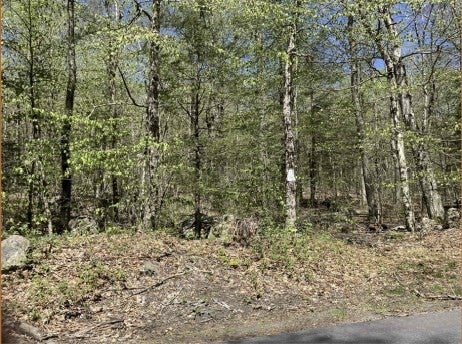 0 New Boston Rd Parcel 1