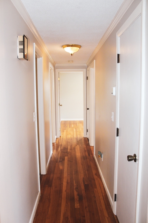 23 Roberta Road