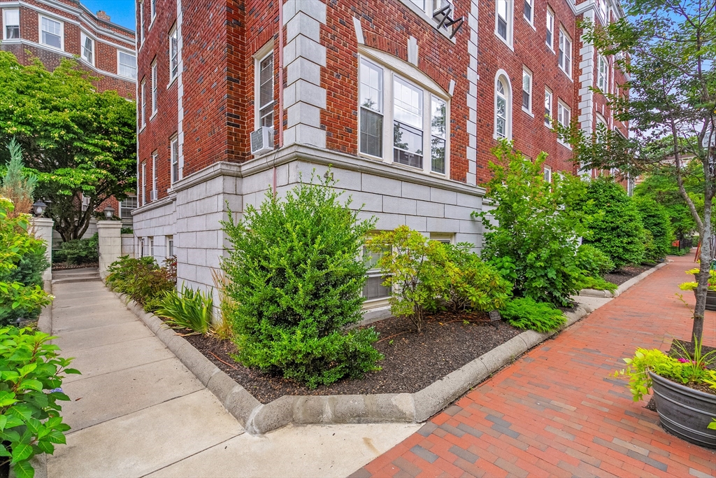 41 Bowdoin Street #25, Cambridge, MA Photo #4