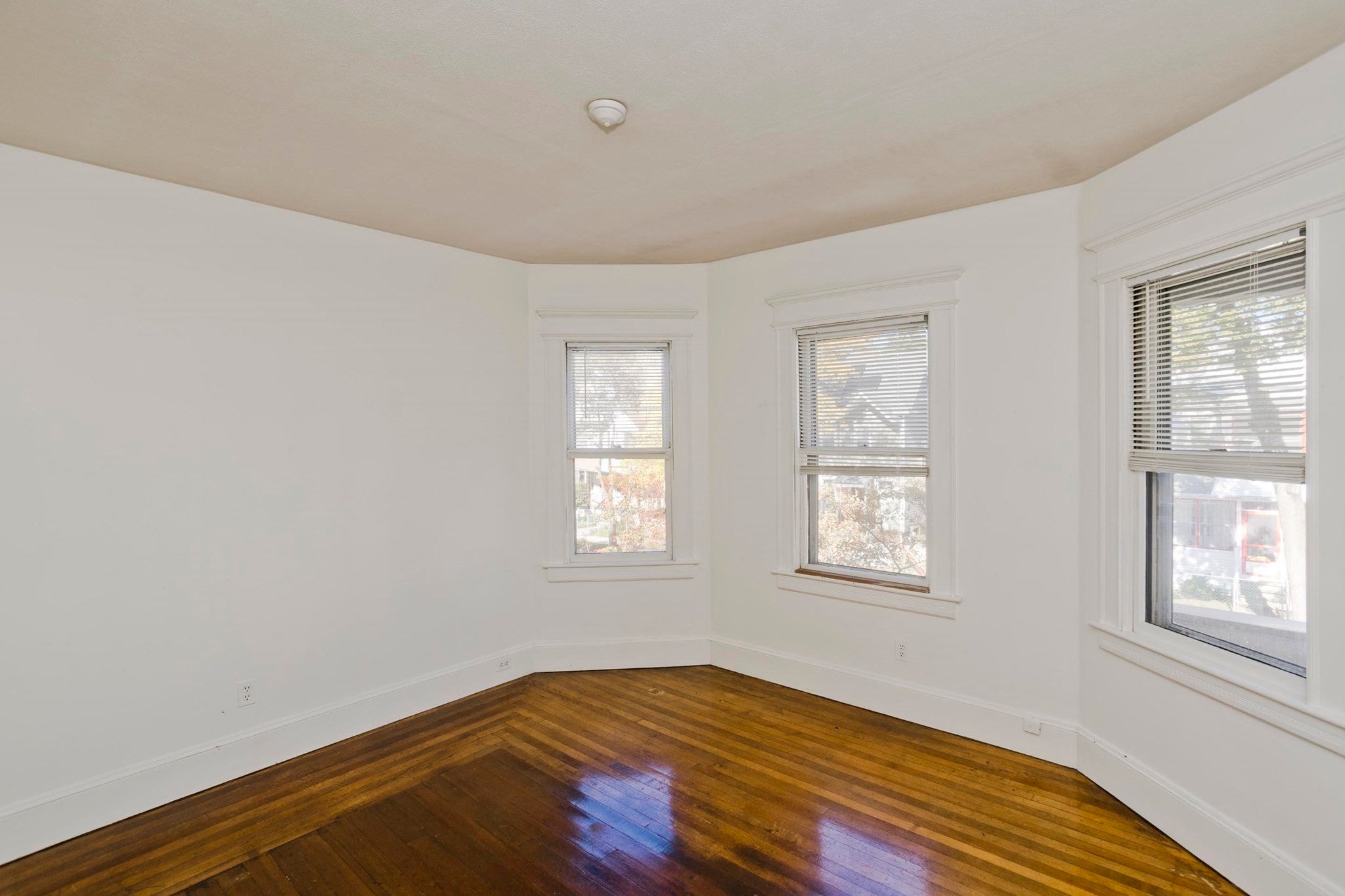 29-31 Wilmont Street, Springfield, MA, 29-31 Wilmont Street, Springfield, MA Photo #13