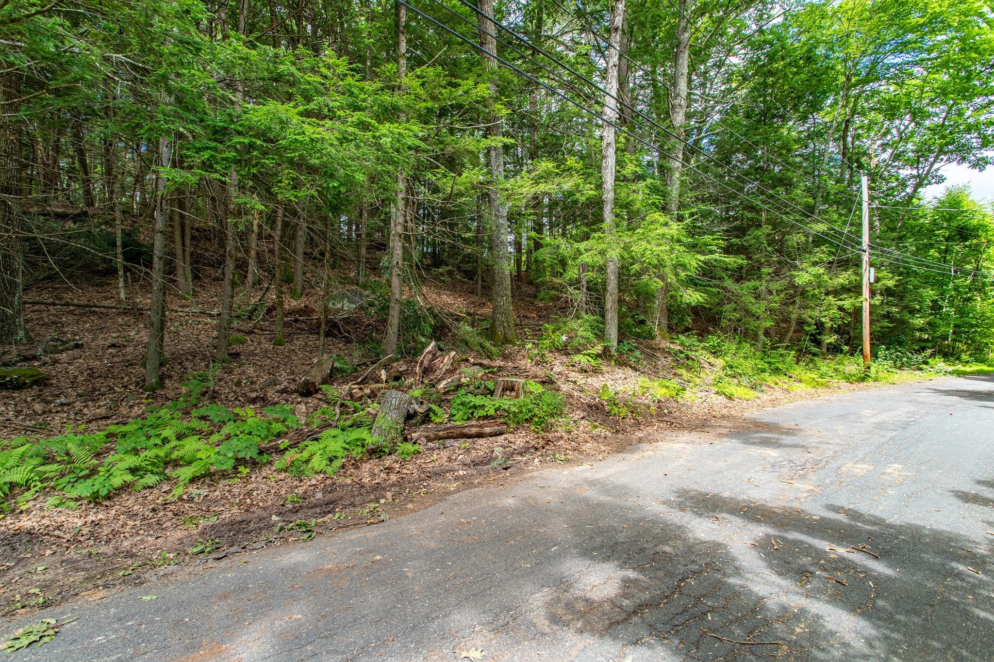 0 Walnut Hill Rd