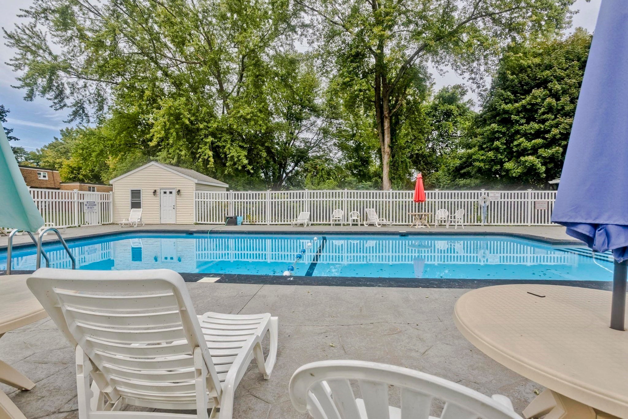 80 Damon Rd #8206, Northampton, MA Photo #22