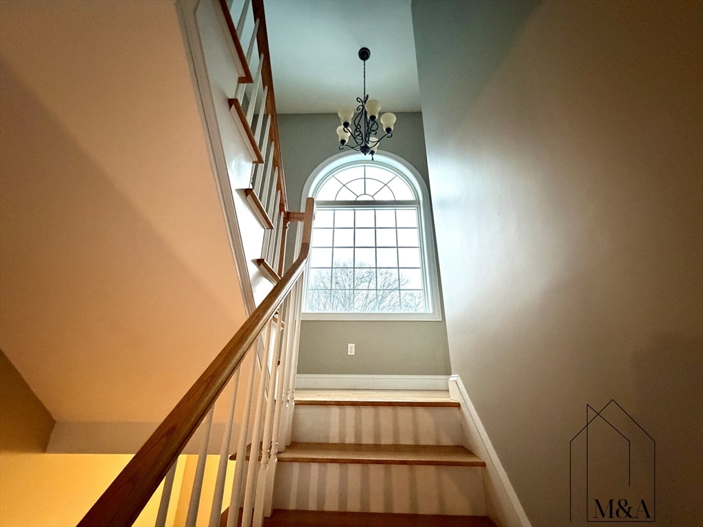 46B Dominion Road 46B