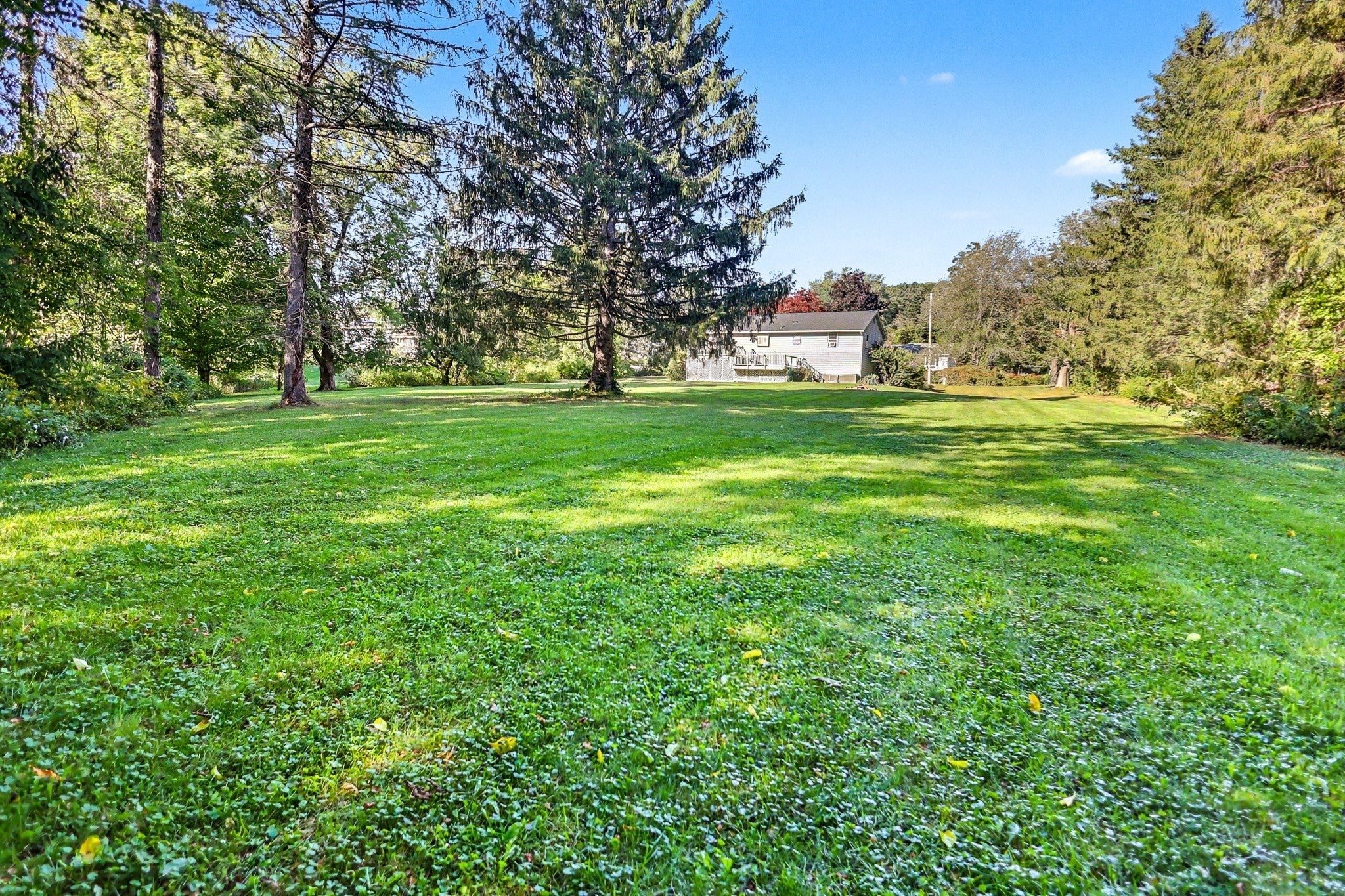 49 Meadowview Rd