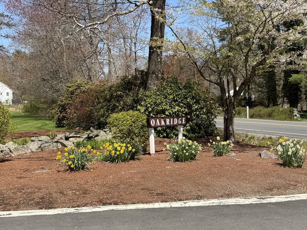 79 Oakridge Dr. 79