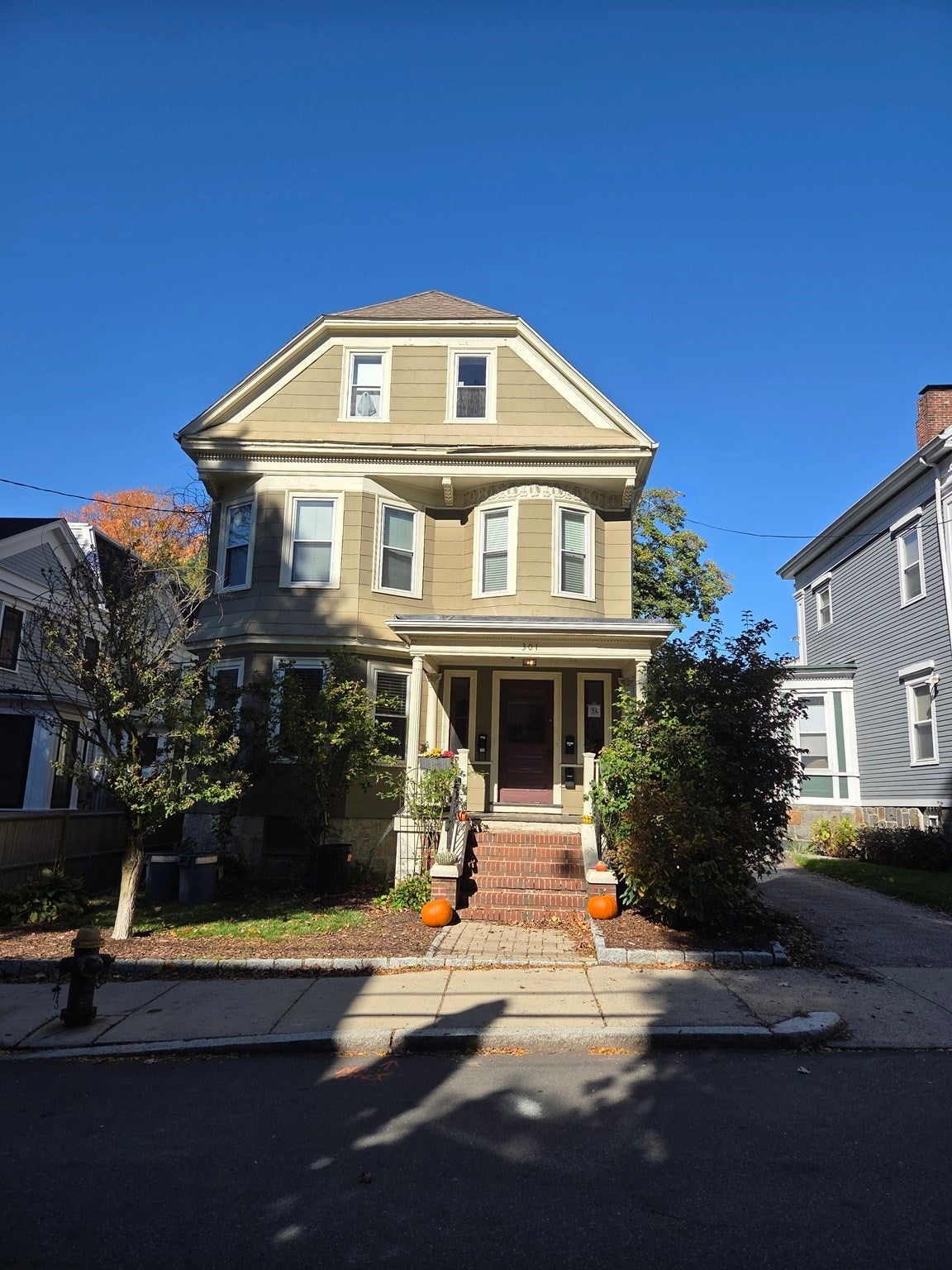 301 Chestnut Ave 1
