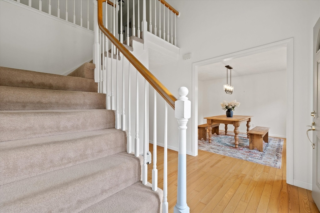 859 Riceville Rd