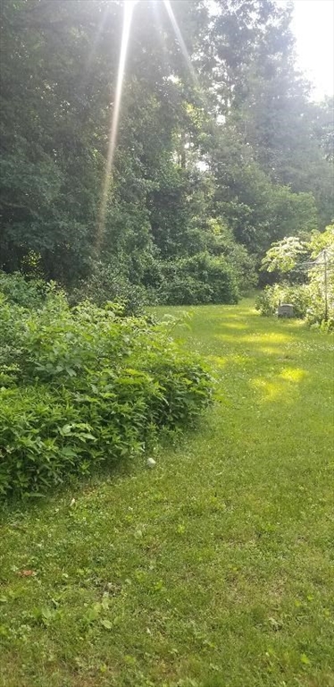 11 Longfellow Rd