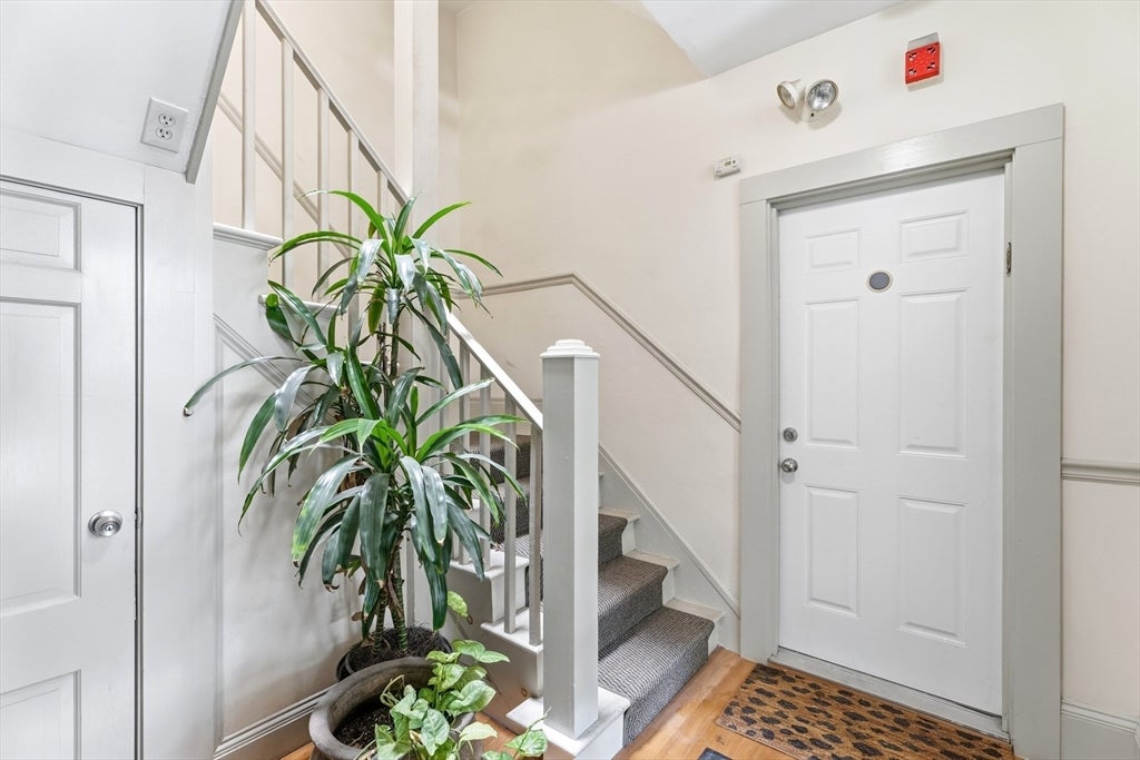 32-34 Ditson St #2, Boston, MA, 32-34 Ditson St #2, Boston, MA Photo #29