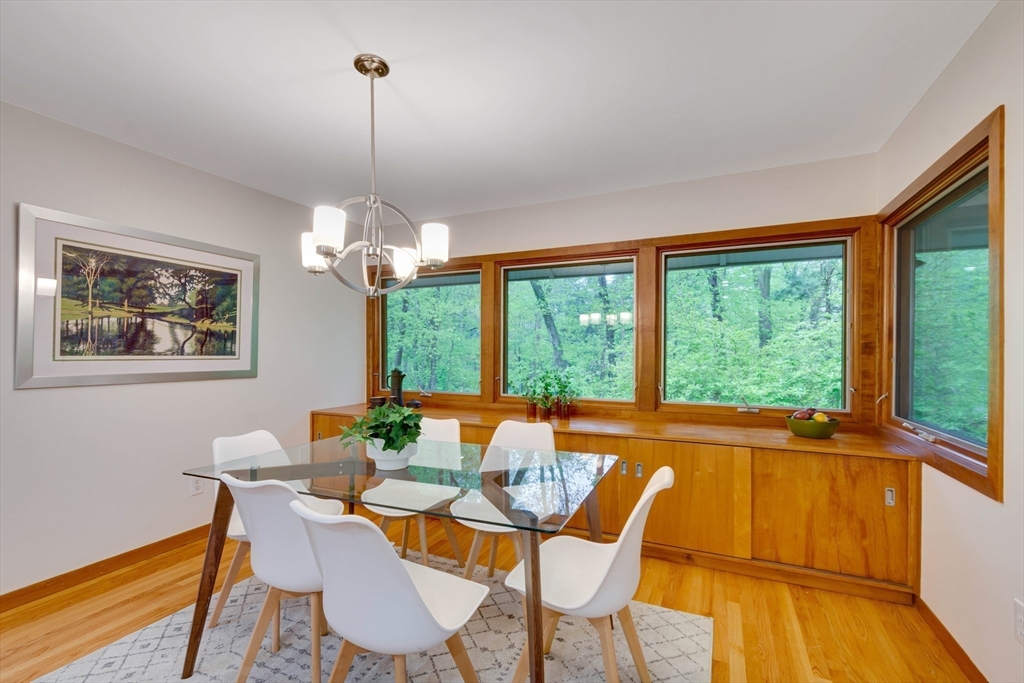 9 Silver Birch Lane